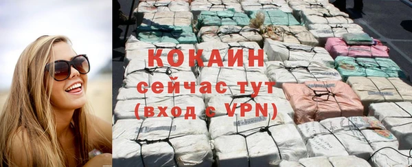 соль ск Алексин