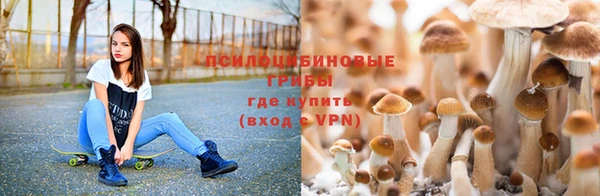 соль ск Алексин